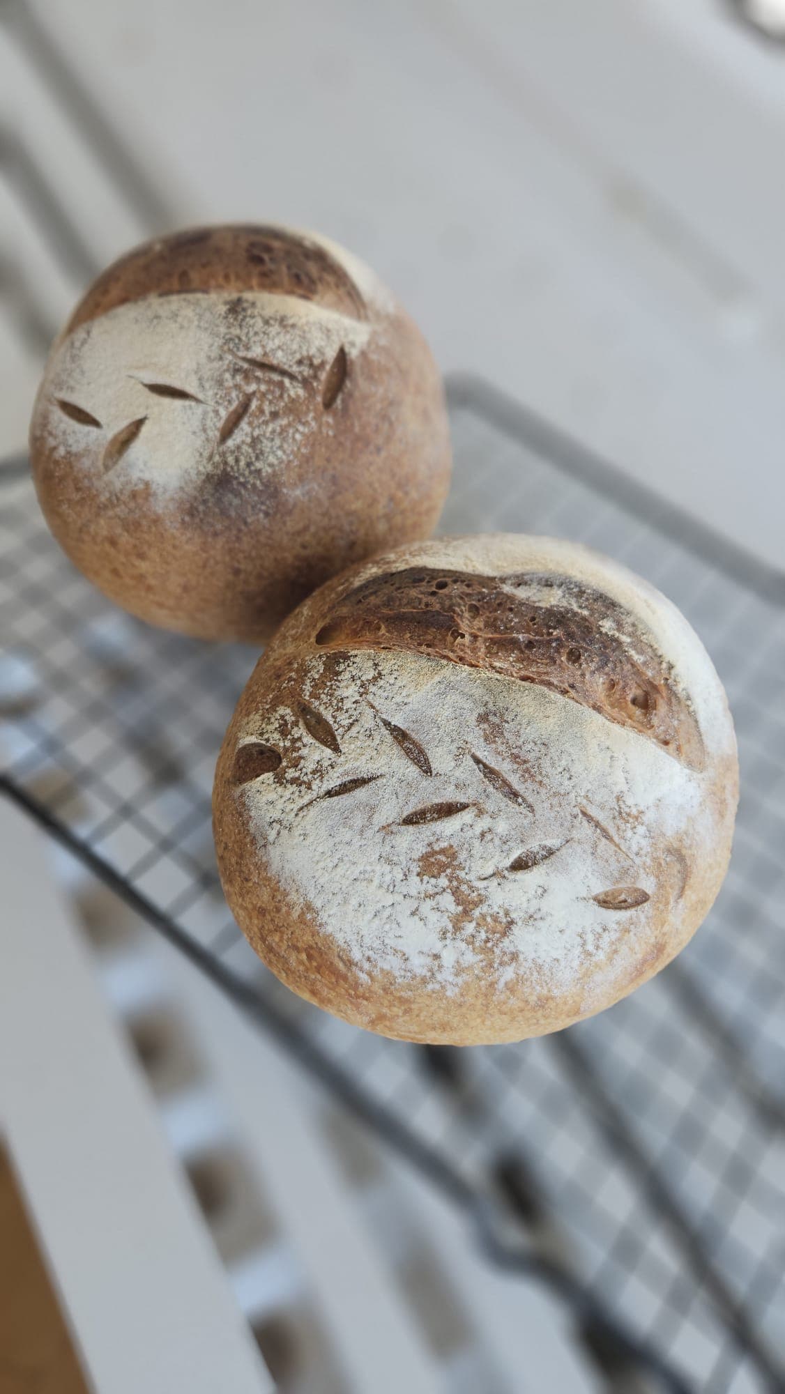 Weizenweissbrot M