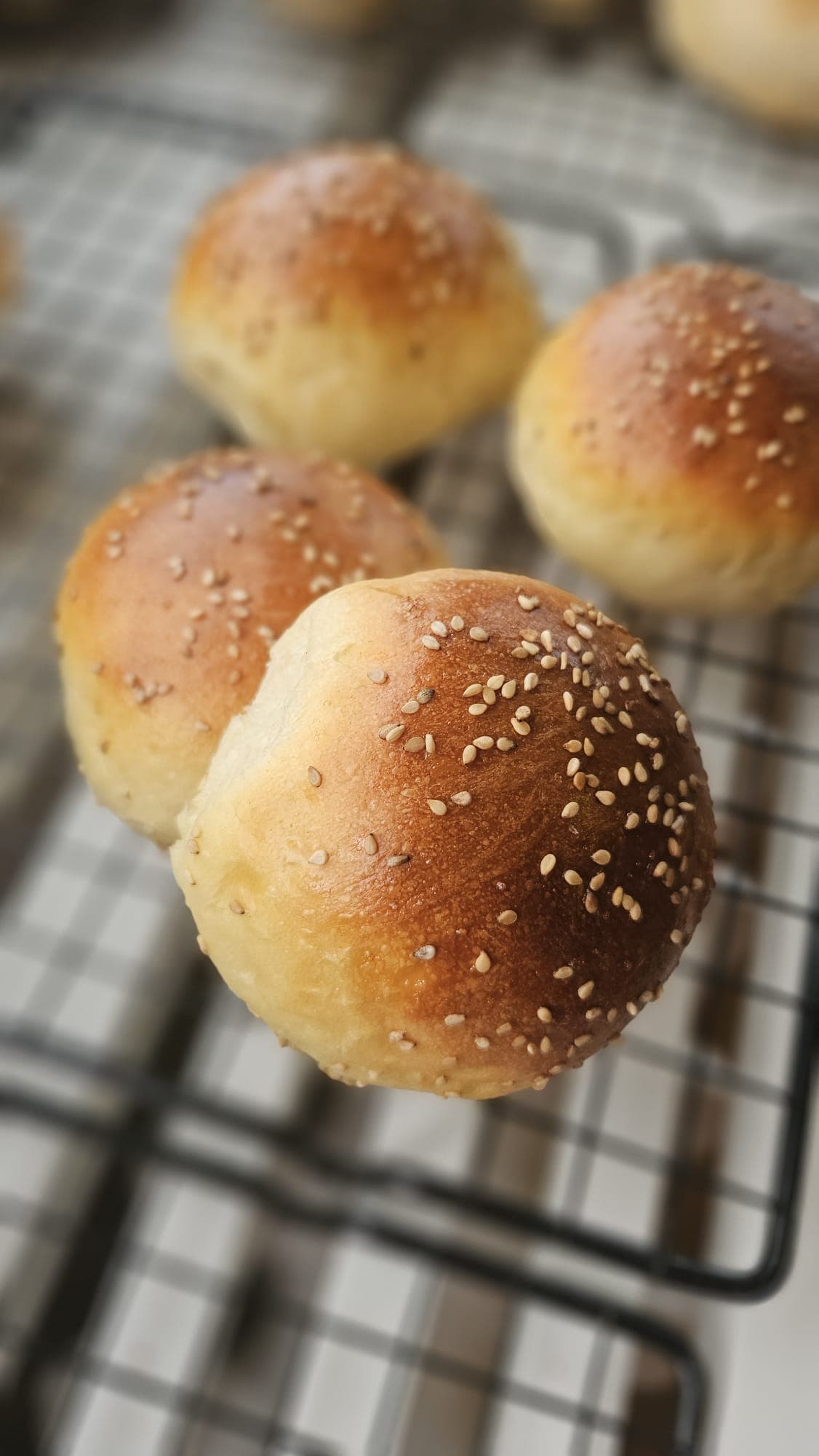 Brioche