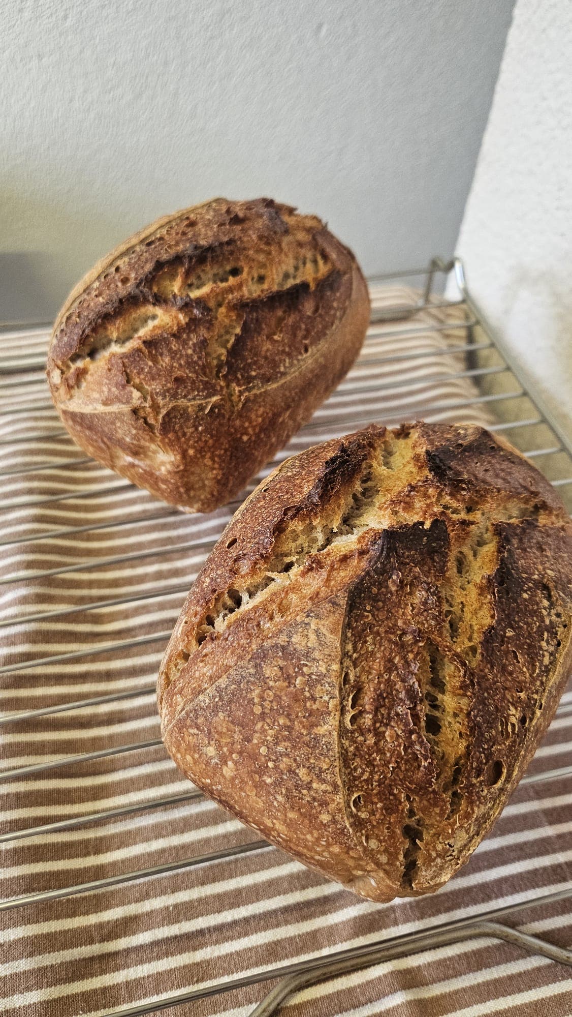 Bio Ruchmehl-Brot 450g